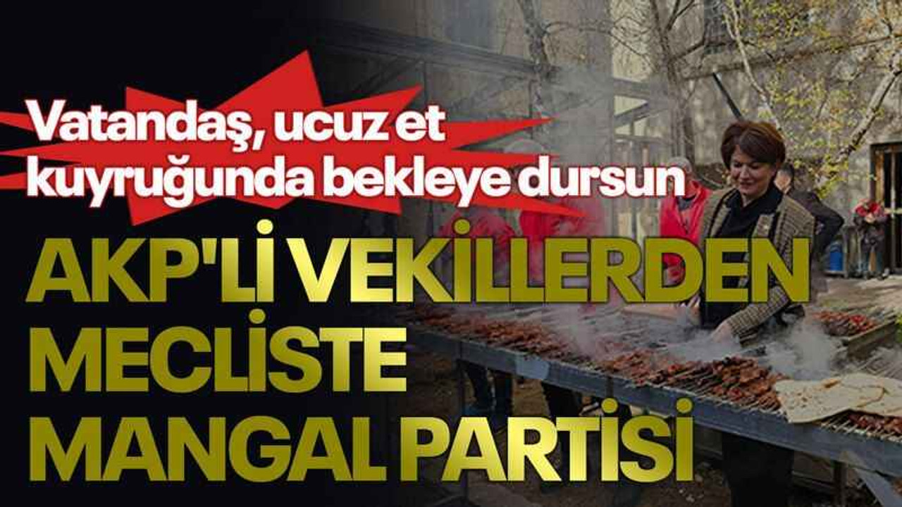 Vatandaş ucuz et kuyruğunda bekleye dursun, AKP'li vekillerden mecliste mangal partisi